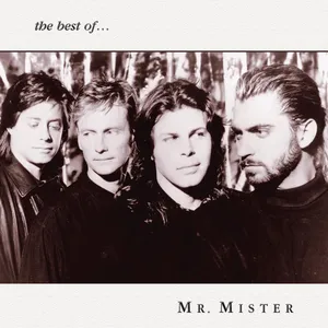 The best of Mr Mister